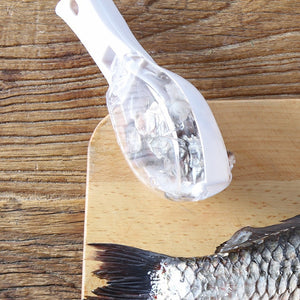 Fish Cleaning Apparatus